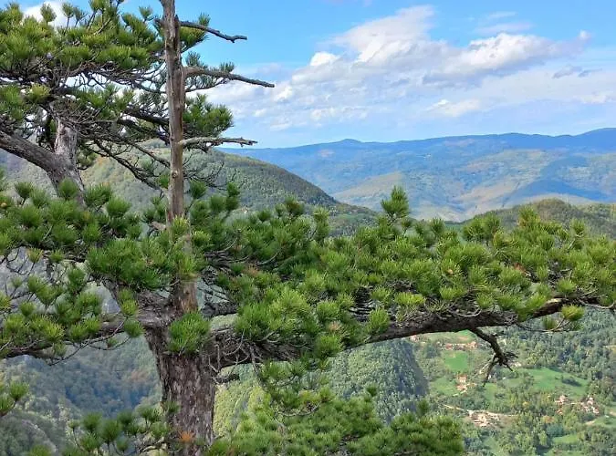 Corso באינה באשטה