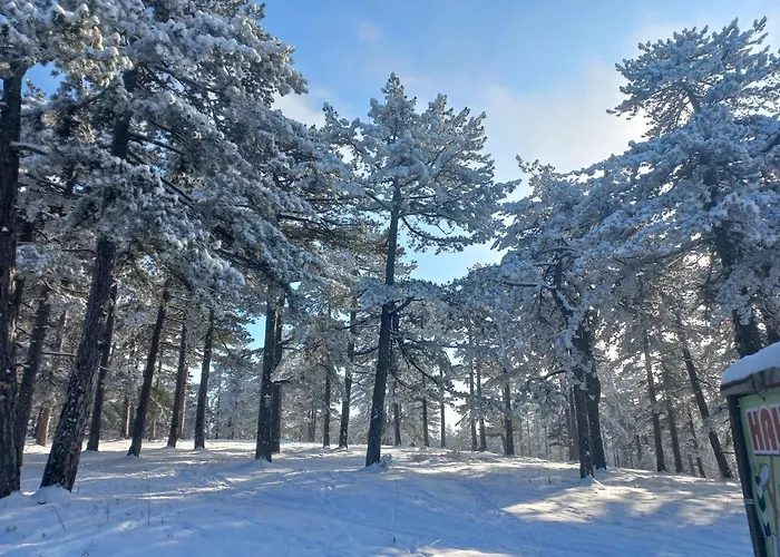 Corso * 巴伊纳巴什塔